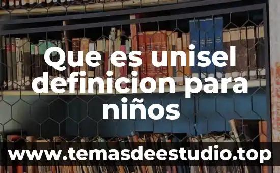 Que es unisel definicion para niños