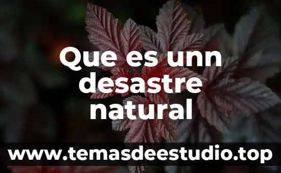 Que es unn desastre natural
