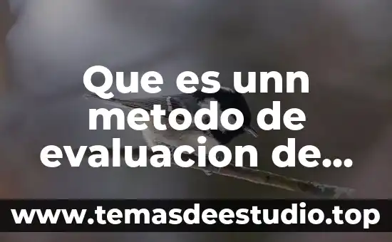 Que es unn metodo de evaluacion de proyecto