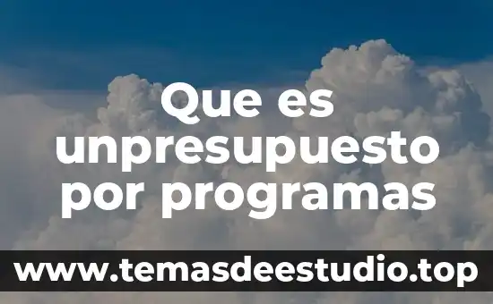 Qué es son los programas 6 Que es unpresupuesto por programas