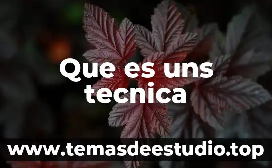 Que es uns tecnica