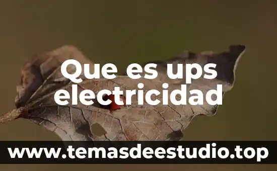 Que es una monografia significado corto 6 Que es ups electricidad