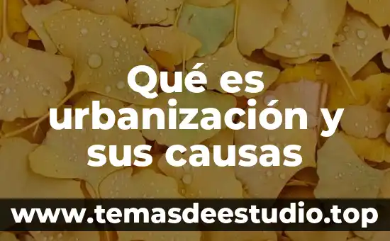 Qué es urbanización y sus causas