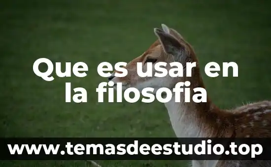Que es usar en la filosofia