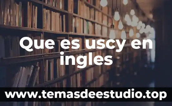Que es uscy en ingles