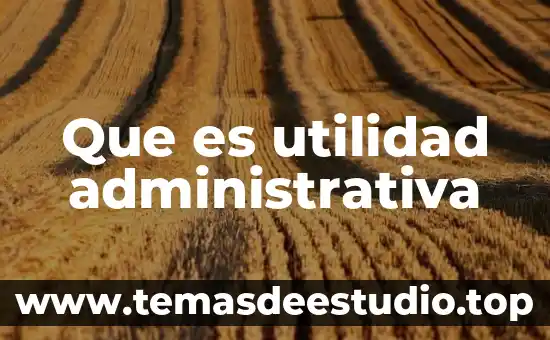 Que es utilidad administrativa