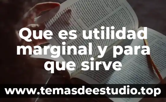 Que es la utilidad del cambio de estrategias en administracion 8 Que es utilidad marginal y para que sirve