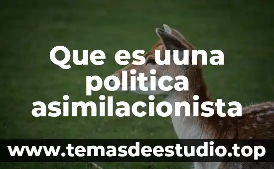 Qué es la pos política 6 Que es uuna politica asimilacionista