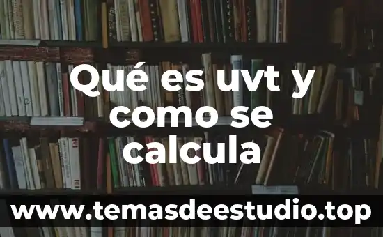 Qué es uvt y como se calcula