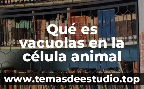 Qué es el mitocondria de la célula animal función 4 Qué es vacuolas en la célula animal