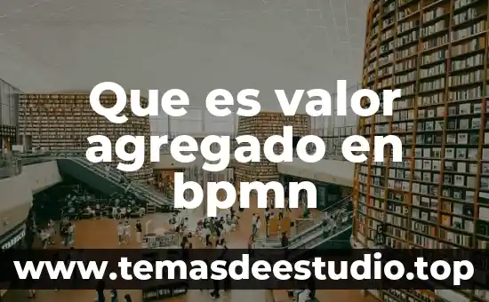 Que es valor agregado en bpmn