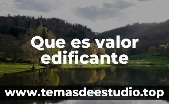 Que es valor de la informacion de expertos 3 Que es valor edificante