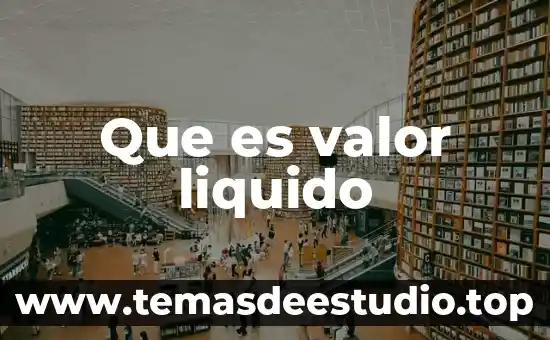 Qué es solido liquido y gases 4 Que es valor liquido