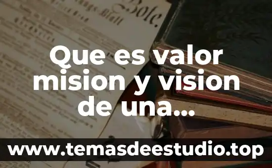 Que es valor mision y vision de una empresa