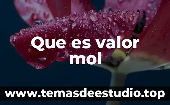 Consiste valor que es la justicia 7 Que es valor mol