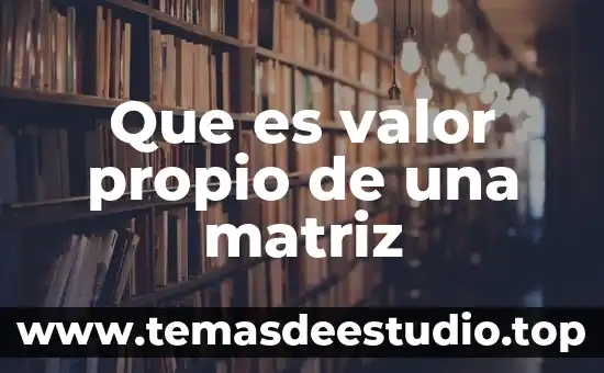 Palabra que significa que es propio de una algo 8 Que es valor propio de una matriz