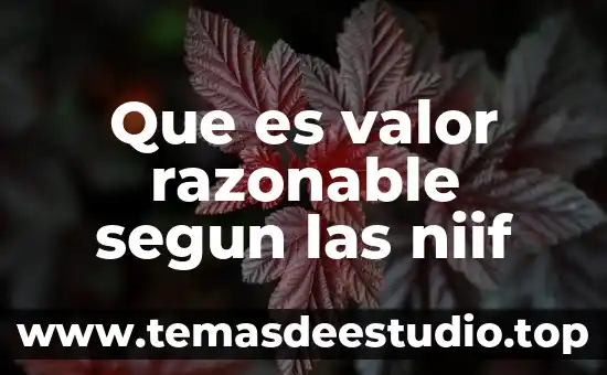 Que es propiedad planta y equipo bajo niif 6 Que es valor razonable segun las niif