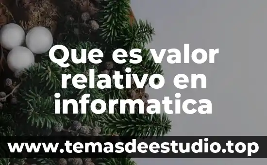 Qué es el número relativo 3 Que es valor relativo en informatica