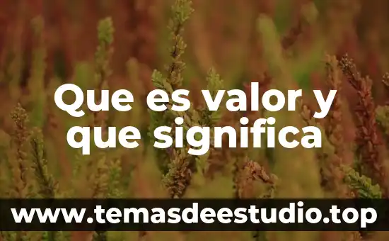 Que es a cadena de valor 7 Que es valor y que significa