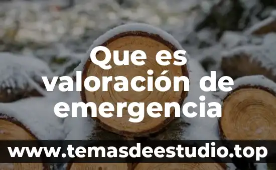 Que es valoración de emergencia