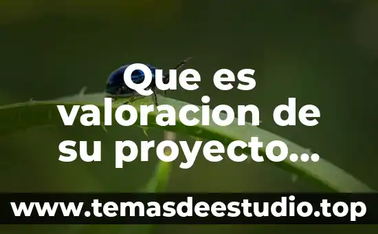 Que es valoracion de su proyecto personal y profesional