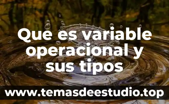 Que es una definición operacional 4 Que es variable operacional y sus tipos