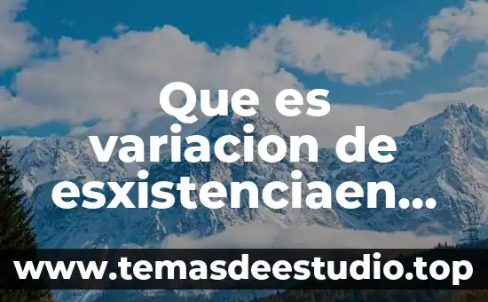 Que es variacion de esxistenciaen mexico definicion economia