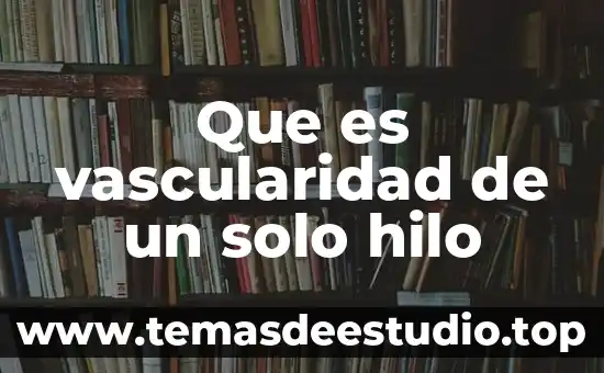 Por que es un solo dios 6 Que es vascularidad de un solo hilo