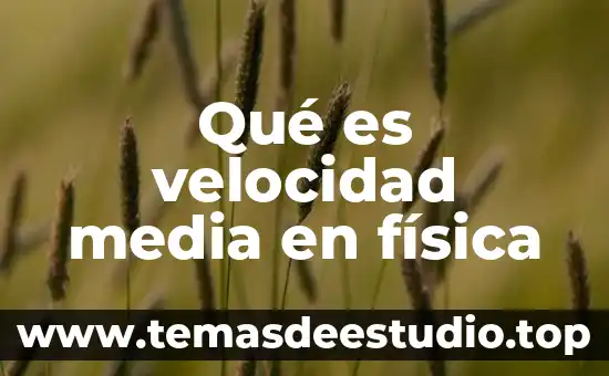 Que es el argumento de un plano 2d 5 Qué es velocidad media en física