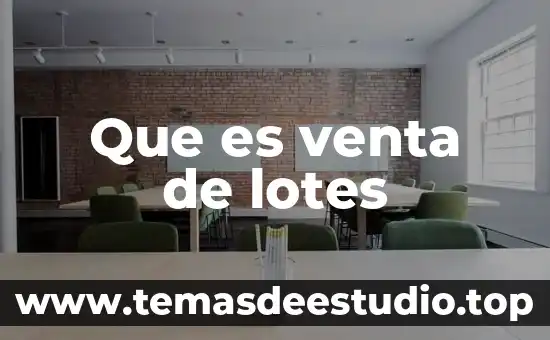 Que es procesamiento por lotes 7 Que es venta de lotes