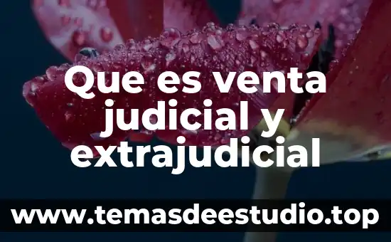Que es un mecanismo judicial 8 Que es venta judicial y extrajudicial