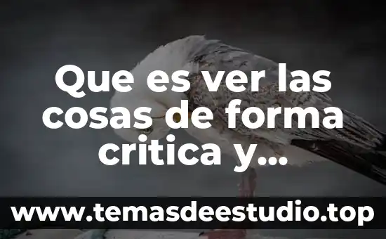 Qué es la teoría crítica en la investigación cualitativa 5 Que es ver las cosas de forma critica y racional