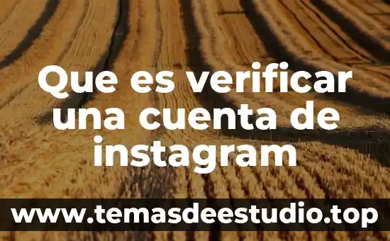 Cuenta básica que es 6 Que es verificar una cuenta de instagram