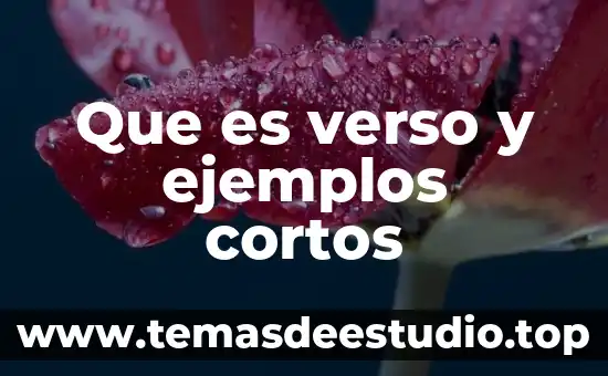 Qué es un poema y ejemplos cortos 8 Que es verso y ejemplos cortos