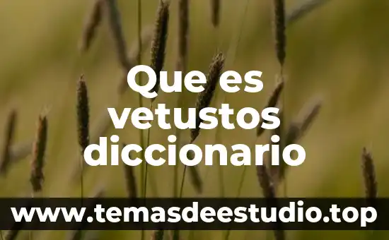 Que es significa inah en el diccionario 4 Que es vetustos diccionario