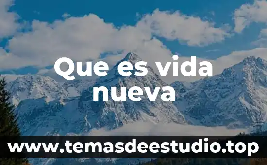 Que es vida nueva