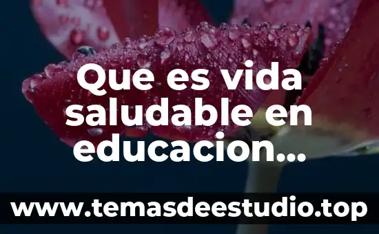 Por que es saludable hacer ejercicios 7 Que es vida saludable en educacion fisica