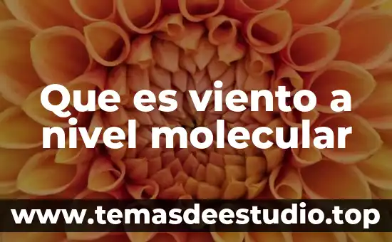 Que es el nivel de oracticas y creencia 4 Que es viento a nivel molecular