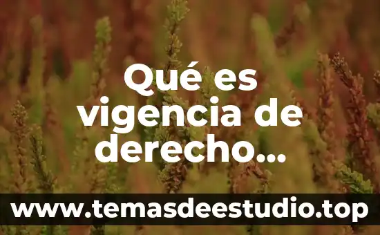 Qué es vigencia de derecho vigente