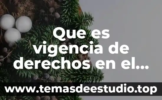 Que es significa ed en los derechos vehiculares 3 Que es vigencia de derechos en el imss