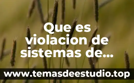 Qué es mqu sistemas de media existen 5 Que es violacion de sistemas de control de acceso