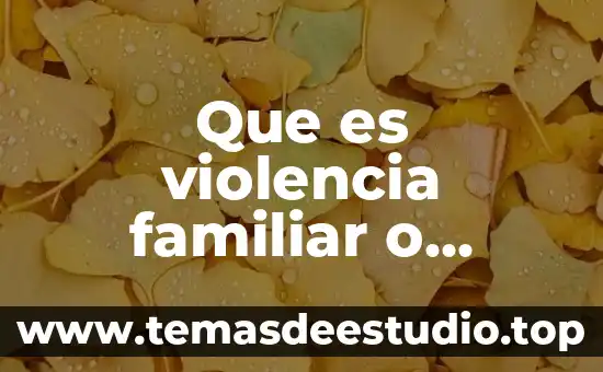 Que es violencia familiar o domestica