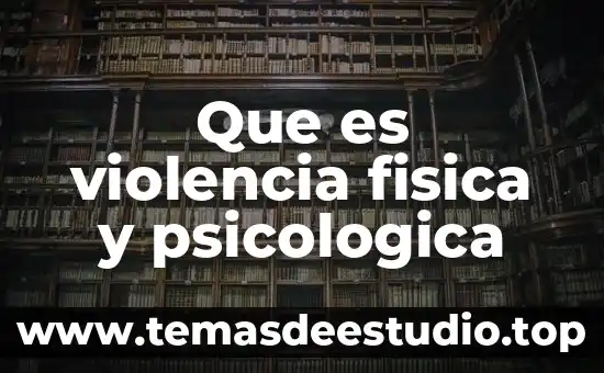 Que es violencia fisica y psicologica