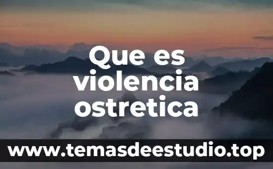 Que es la violencia en la filosofia 4 Que es violencia ostretica