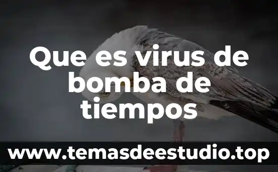 Que es mas peligroso los virus 3 Que es virus de bomba de tiempos