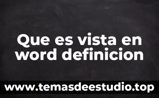 Que es vista en word definicion