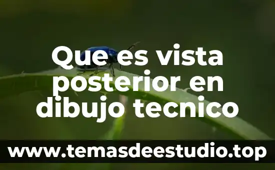 Que es vista posterior en dibujo tecnico