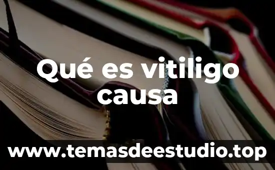 Que es la esencia la causa de pedir consiste en 4 Qué es vitiligo causa