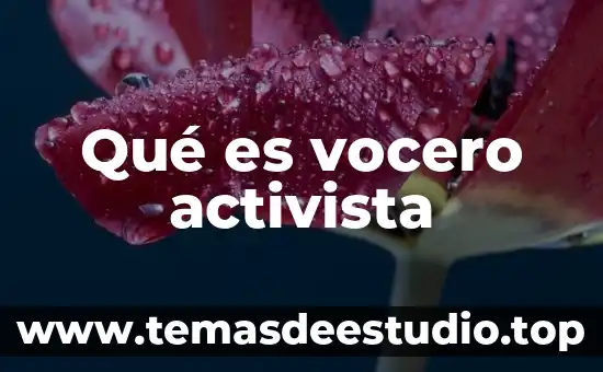 Qué es vocero activista