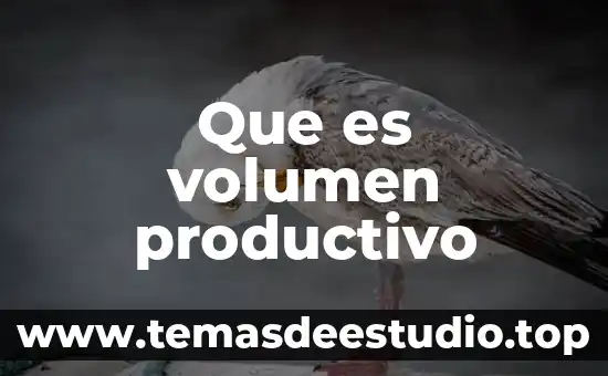 Que es volumen molecular gramo en quimica 5 Que es volumen productivo